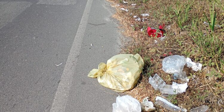 Rifiuti lasciati per strada