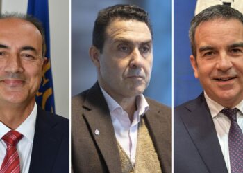 Domenico Giannetta, Roberto Vannacci e Roberto Occhiuto
