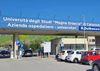 L'Azienda ospedaliero-universitaria "Dulbecco" di Catanzaro