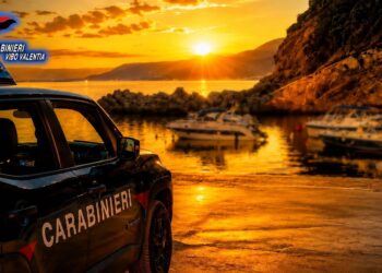 Raffica di controlli dei Carabinieri nel Vibonese