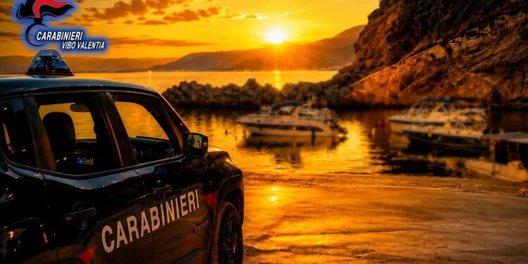 Raffica di controlli dei Carabinieri nel Vibonese