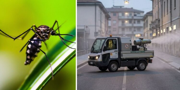 Disinfestazione zanzare