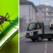 Disinfestazione zanzare