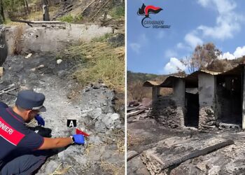 Le conseguenze dell'incendio a Bonifati, in Calabria
