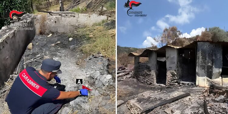 Le conseguenze dell'incendio a Bonifati, in Calabria