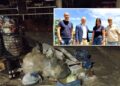 Tropea Rifiuti e in foto piccola il gruppo "Insieme per Tropea"