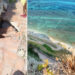 spiaggia-scalea