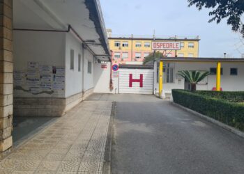 vibo ospedale