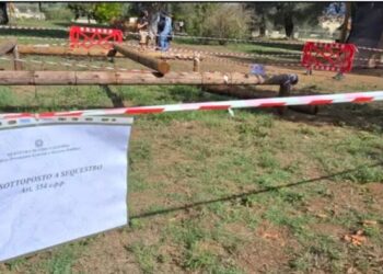 Vibo, I Liberali ricordano il piccolo Francesco: «La sicurezza dei bambini non può aspettare»