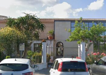 museo paleontologico