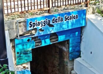 spiaggia della scalea
