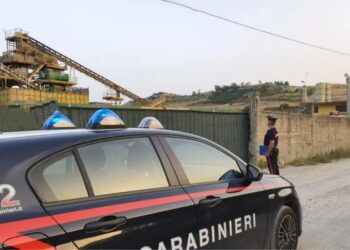 Il controllo dei carabinieri in uno stabilimento del Catanzarese