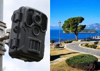 Una fototrappola e a destra uno scorcio di San Nicola Arcella