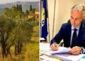 L'assessore Gianluca Gallo ed una coltivazione di ulivi