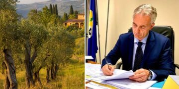 L'assessore Gianluca Gallo ed una coltivazione di ulivi