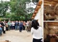 Inaugurazione della casa museo di Rombiolo