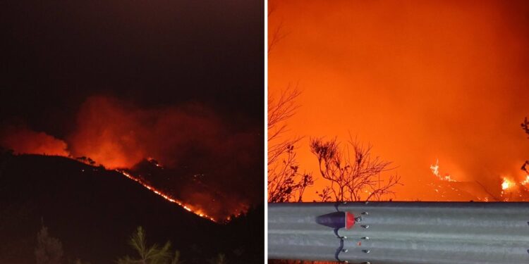 L'incendio nell'Alto Tirreno Cosentino in Calabria