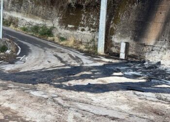 Il luogo dove si è sviluppato l'incendio a Cosoleto ai danni di una ditta dell'imprenditore Pietro Nocera di Vibo Valentia