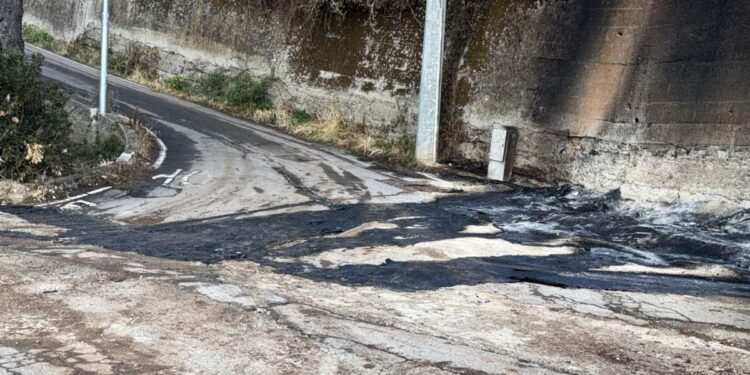Il luogo dove si è sviluppato l'incendio a Cosoleto ai danni di una ditta dell'imprenditore Pietro Nocera di Vibo Valentia