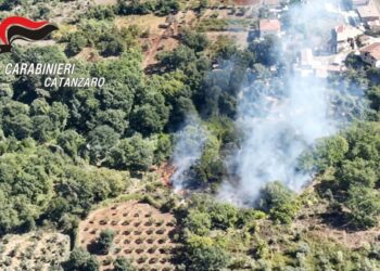 Le immagini riprese dal drone dell'incendio appiccato a Curinga