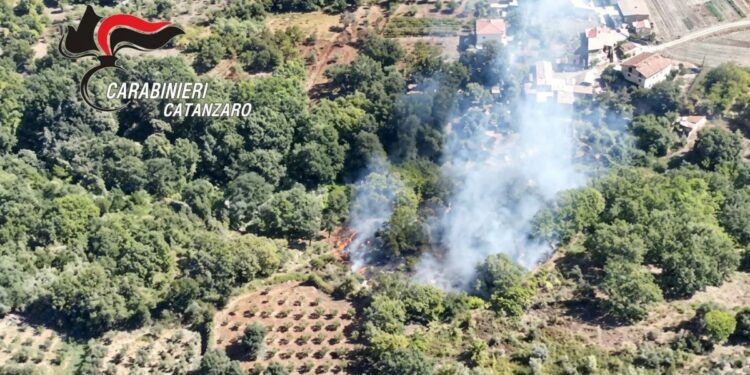 Le immagini riprese dal drone dell'incendio appiccato a Curinga