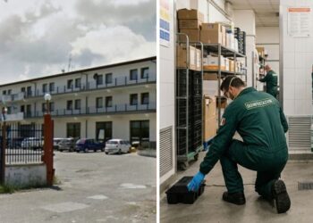 Palazzo Gemini a Vibo Valentia. A destra, foto generica, un'operazione di derattizzazione