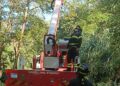 Parapendista resta incastrato sulla cima di un albero in Calabria: salvato dai Vigili del Fuoco – VIDEO