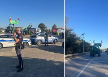La protesta dei lavoratori del comparto agricolo con i trattori a Crotone, in Calabria