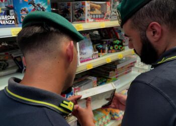 La Finanza sequestra nel Vibonese giocattoli e prodotti casalinghi