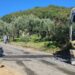 incidente-catanzaro