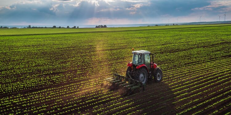 agricoltura-simbolica-ridotta