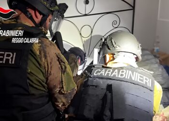 L'arresto del latitante Vincenzo La Rosa a Parghelia