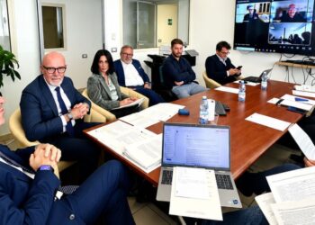 Una riunione dell'Autorità di sistema portuale dei mari Tirreno meridionale e Ionio
