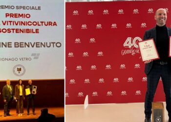 Giovanni Celeste Bevenuto, alla guida delle Cantine Benvenuto, premiato a Roma