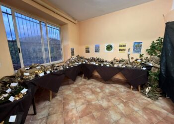 mostra micologica-arena5
