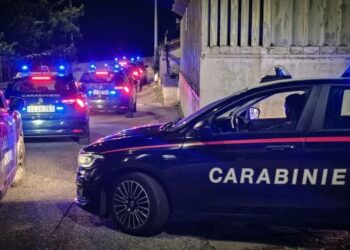 Una operazione dei carabinieri