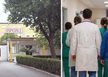 L'ospedale di Vibo Valentia, medici e infermieri