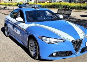 polizia-vibo
