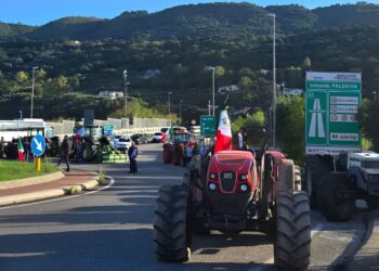 La protesta degli agricoltori allo svincolo A2 di Falerna, in Calabria