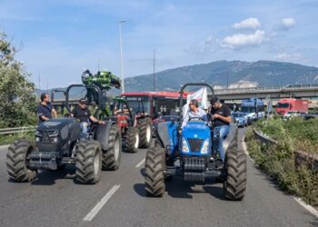 La protesta degli agricoltori a Lamezia