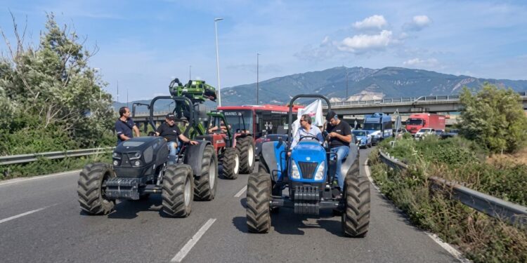 La protesta degli agricoltori a Lamezia