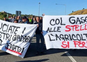 La protesta in Calabria di agricoltori, autotrasportatori e lavoratori