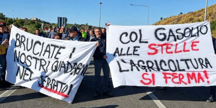 La protesta in Calabria di agricoltori, autotrasportatori e lavoratori