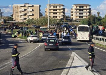La protesta degli agricoltori con i trattori allo svincolo A2 a Falerna, in Calabria