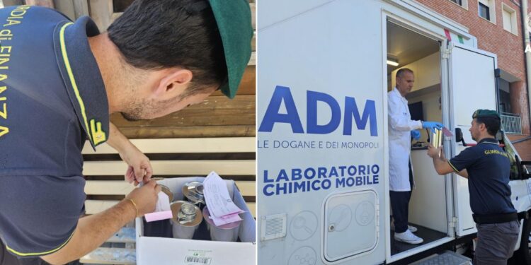 Il sequestro del diesel non conforme nel Vibonese da parte della Guardia di finanza