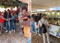 serra-festa-fungo