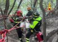soccorso-cane-ciro superiore
