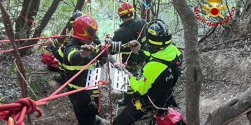 soccorso-cane-ciro superiore
