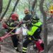 soccorso-cane-ciro superiore