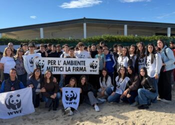 Gli studenti di Filadelfia impegnati nella pulizia della spiaggia di Colamaio a Pizzo